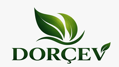 Dorçev